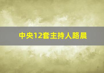 中央12套主持人路晨