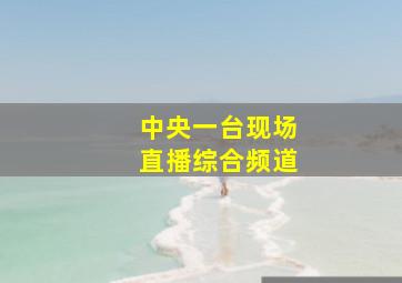 中央一台现场直播综合频道