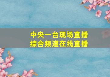 中央一台现场直播综合频道在线直播