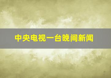 中央电视一台晚间新闻