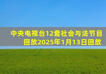 中央电视台12套社会与法节目回放2025年1月13日回放