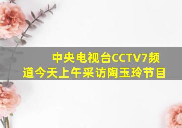 中央电视台CCTV7频道今天上午采访陶玉玲节目