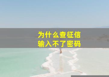 为什么查征信输入不了密码