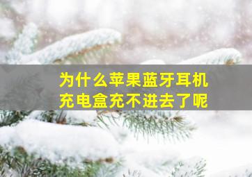 为什么苹果蓝牙耳机充电盒充不进去了呢