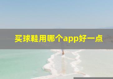 买球鞋用哪个app好一点