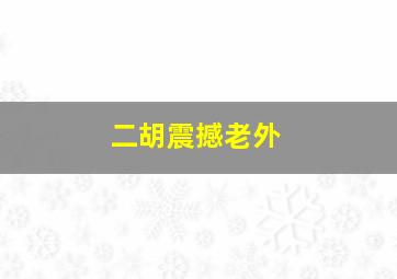 二胡震撼老外