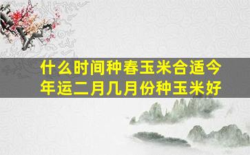 什么时间种春玉米合适今年运二月几月份种玉米好