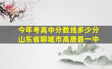 今年考高中分数线多少分山东省聊城市高唐县一中