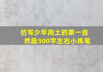 仿写少年闰土的第一自然段300字左右小练笔