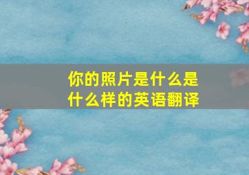 你的照片是什么是什么样的英语翻译