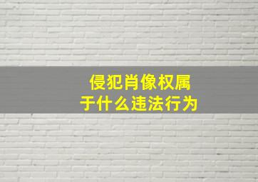 侵犯肖像权属于什么违法行为