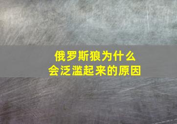 俄罗斯狼为什么会泛滥起来的原因