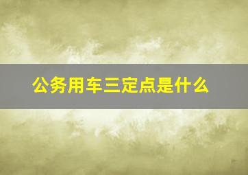 公务用车三定点是什么