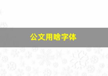 公文用啥字体