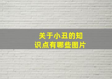 关于小丑的知识点有哪些图片