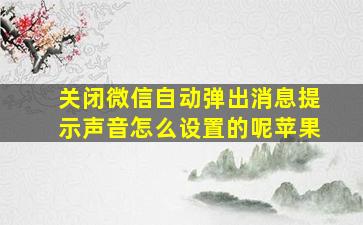 关闭微信自动弹出消息提示声音怎么设置的呢苹果