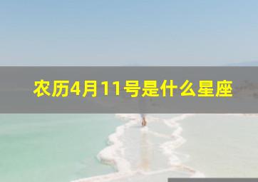 农历4月11号是什么星座