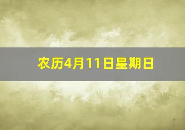 农历4月11日星期日