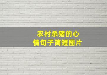 农村杀猪的心情句子简短图片