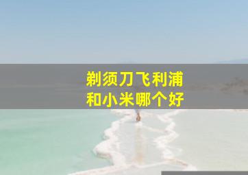 剃须刀飞利浦和小米哪个好