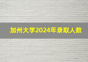 加州大学2024年录取人数