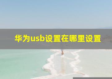 华为usb设置在哪里设置