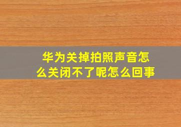 华为关掉拍照声音怎么关闭不了呢怎么回事