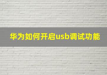 华为如何开启usb调试功能