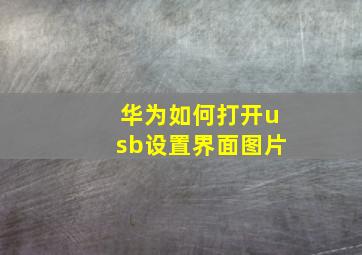 华为如何打开usb设置界面图片