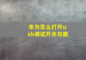 华为怎么打开usb调试开关功能