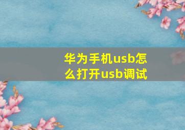 华为手机usb怎么打开usb调试