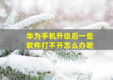 华为手机升级后一些软件打不开怎么办呢