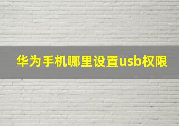 华为手机哪里设置usb权限