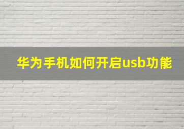 华为手机如何开启usb功能