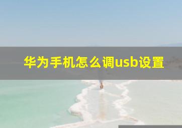 华为手机怎么调usb设置