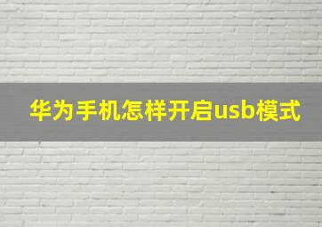 华为手机怎样开启usb模式