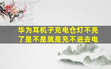 华为耳机子充电仓灯不亮了是不是就是充不进去电