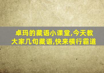 卓玛的藏语小课堂,今天教大家几句藏语,快来横行霸道