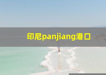 印尼panjiang港口