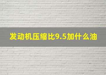 发动机压缩比9.5加什么油