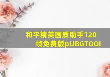 和平精英画质助手120帧免费版pUBGTOOI