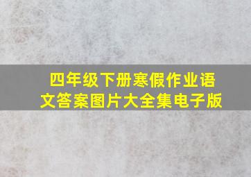 四年级下册寒假作业语文答案图片大全集电子版