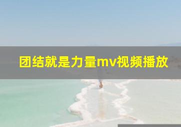 团结就是力量mv视频播放