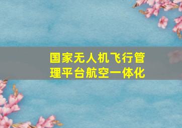 国家无人机飞行管理平台航空一体化