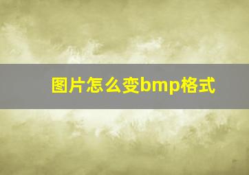 图片怎么变bmp格式