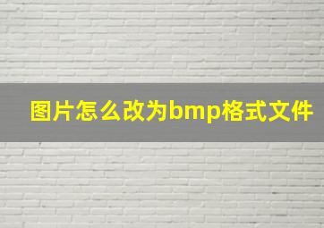 图片怎么改为bmp格式文件