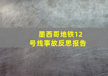 墨西哥地铁12号线事故反思报告