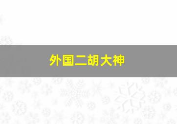 外国二胡大神