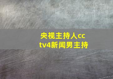 央视主持人cctv4新闻男主持