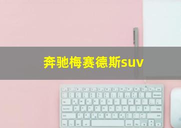 奔驰梅赛德斯suv